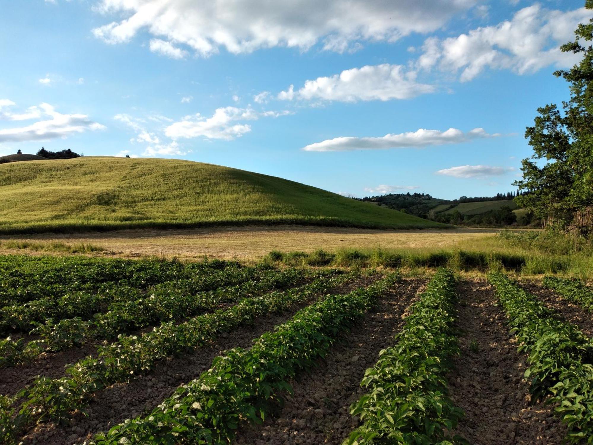 Vila Poggio Ai Legni Certaldo Exteriér fotografie